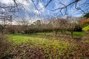 Garden- click for photo gallery